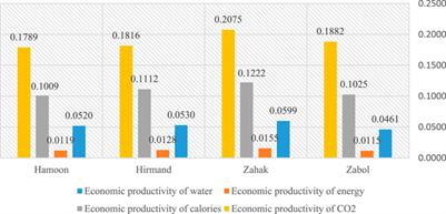 The allocation of crop production resources in the southeast of Iran: the application of the water-energy-food nexus approach